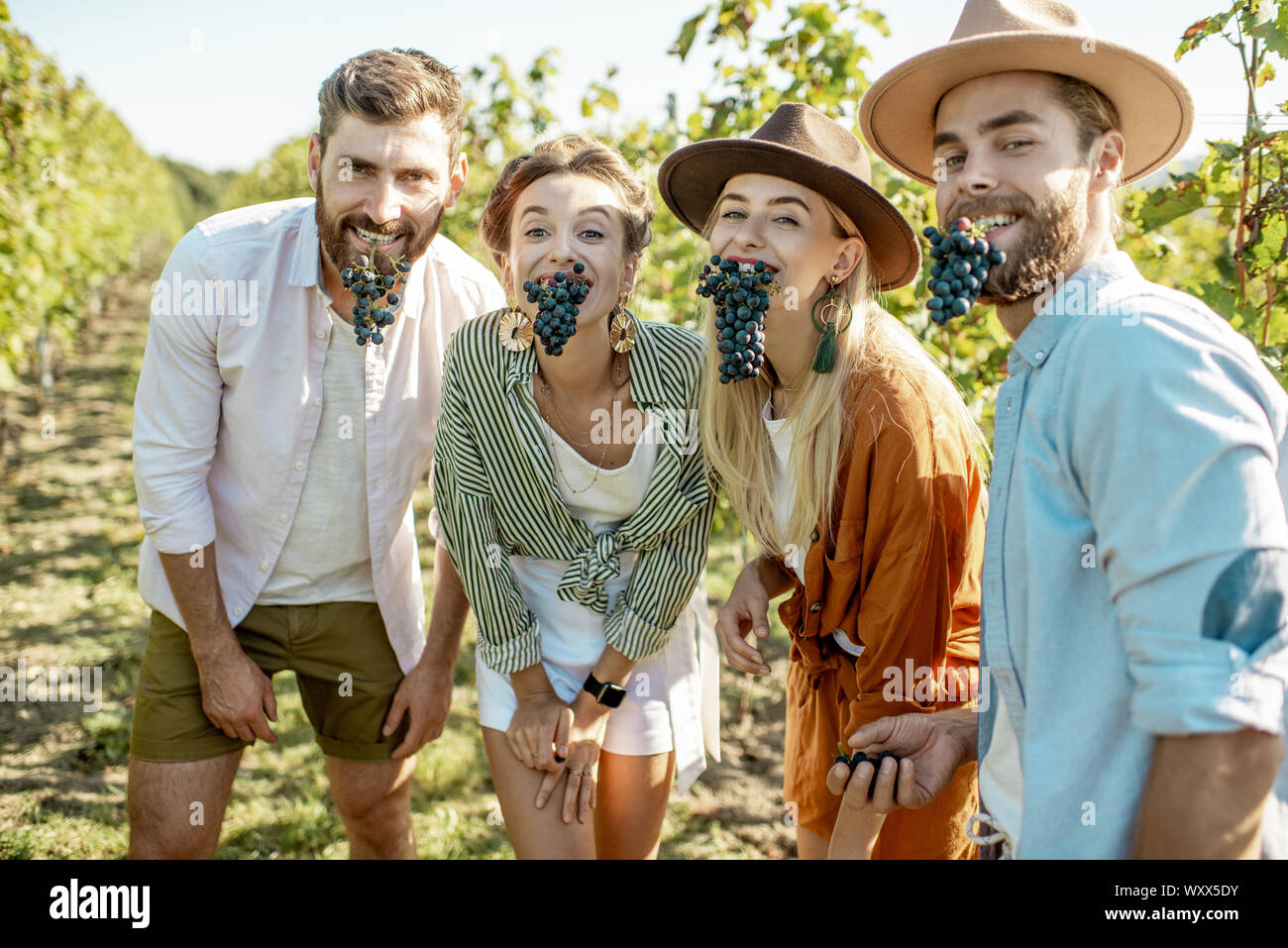 Portrait of a happy friends tasting grapes on the vineyard, having fun together at the winery on a sunny morning Stock Photo