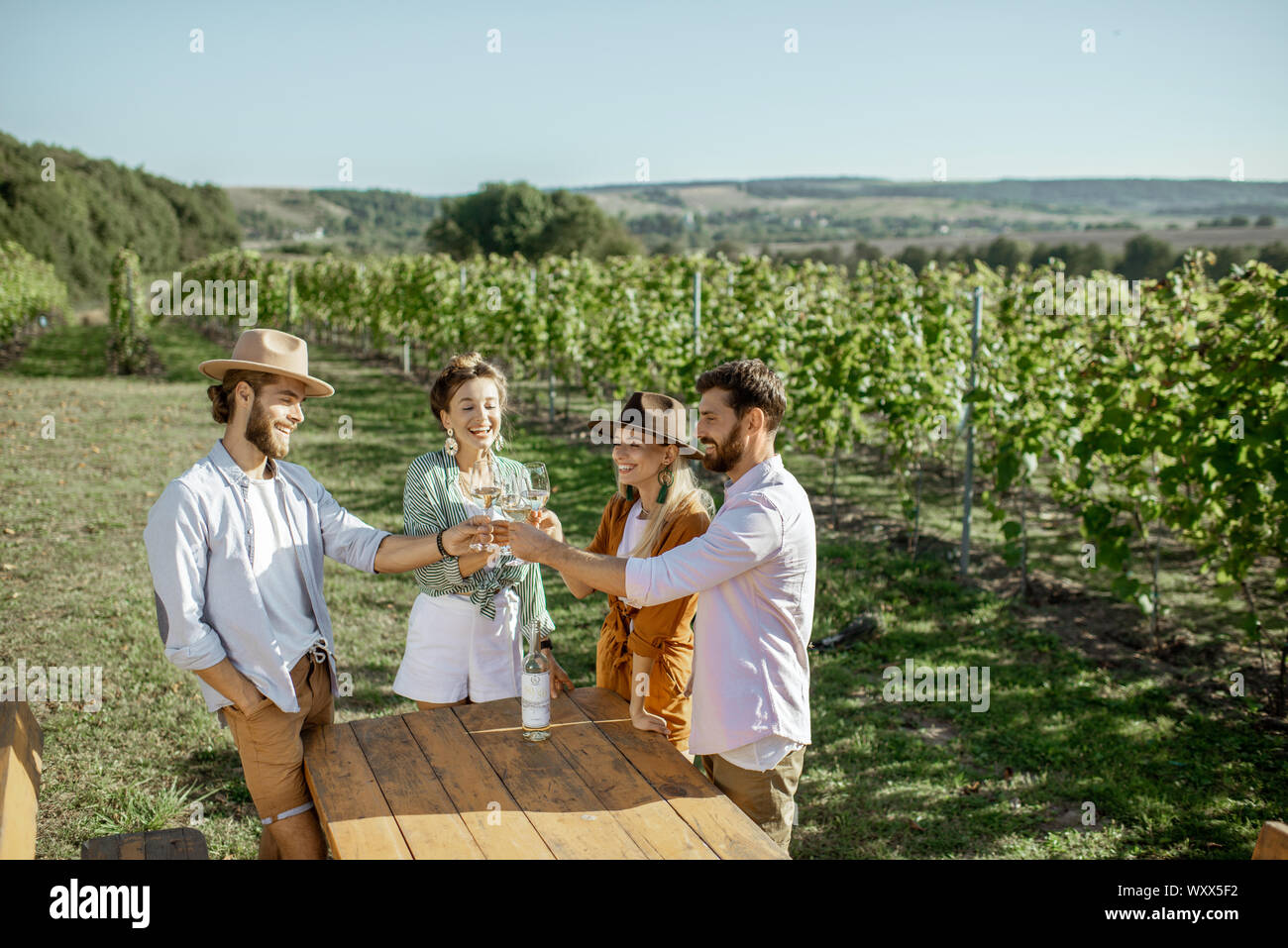 Group of young friends dressed casually tasting wine on the vineyard on a sunny summer morning, wide landscape view Stock Photo
