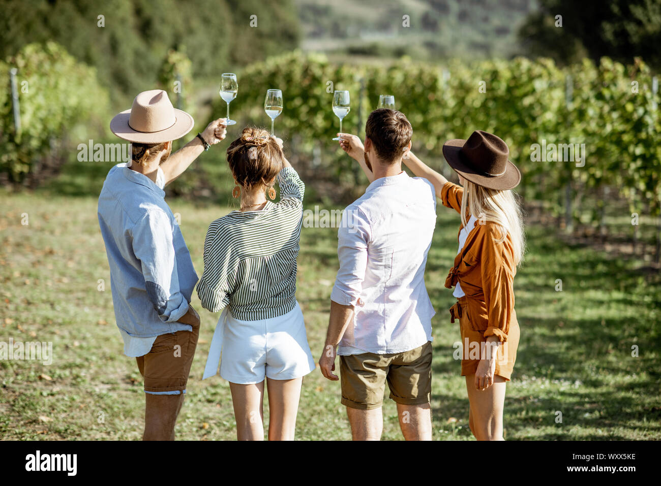 Group of young friends tasting wine on the vineyard, looking on the wine glasses on a sunny summer morning, view from the backside Stock Photo