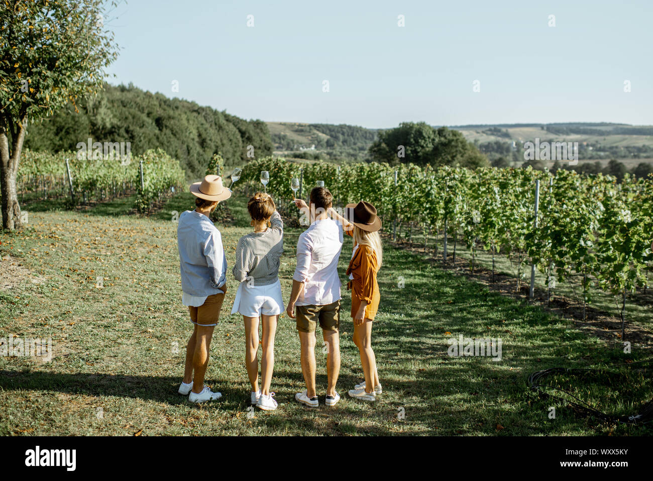Group of young friends tasting wine on the vineyard, enjoying beautiful landscape view on a sunny summer morning, view from the backside Stock Photo