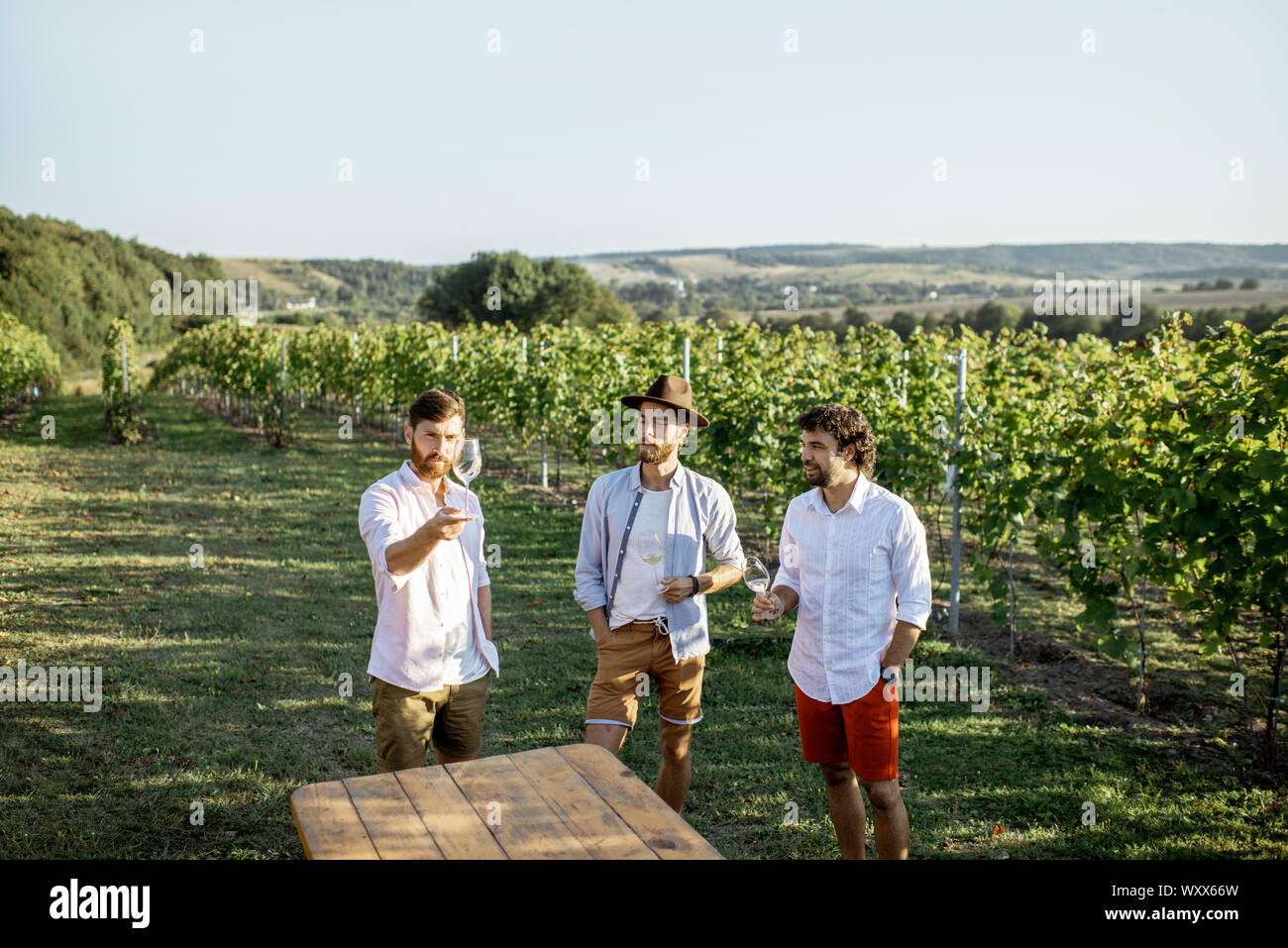 Three guys dressed casually tasting wine while spending time together on the vineyard on a sunny summer morning Stock Photo