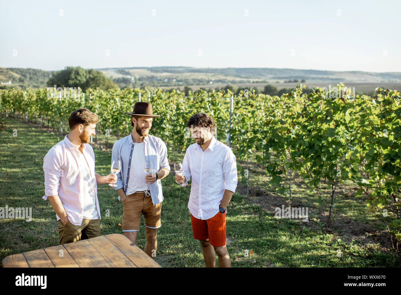 Three guys dressed casually tasting wine while spending time together on the vineyard on a sunny summer morning Stock Photo