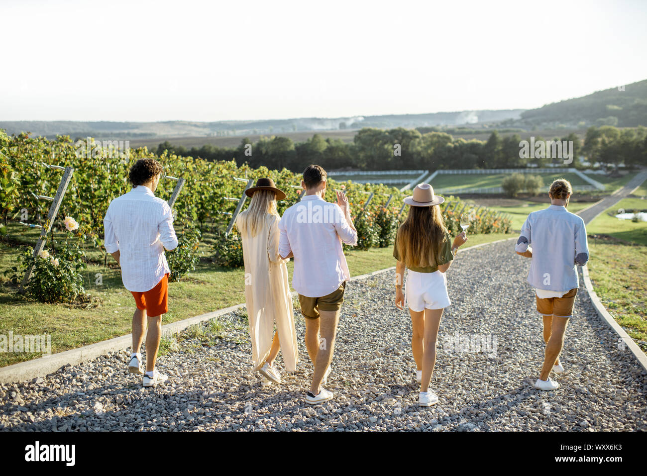 Group of young friends dressed casually hanging out together, walking with wine glasses on the vineyard on a sunny day, view from above Stock Photo