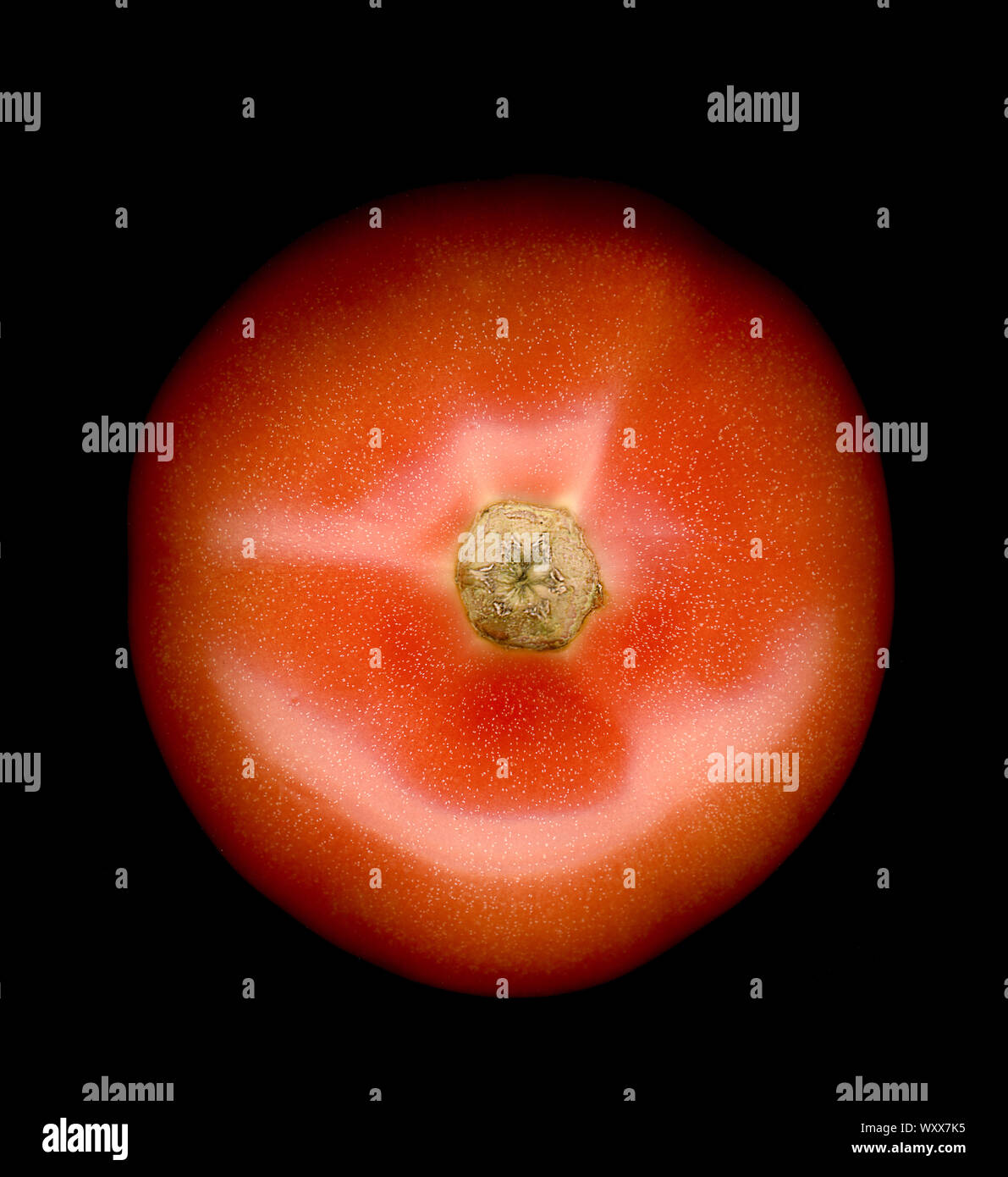 Tomato isolated on black background. Stock Photo