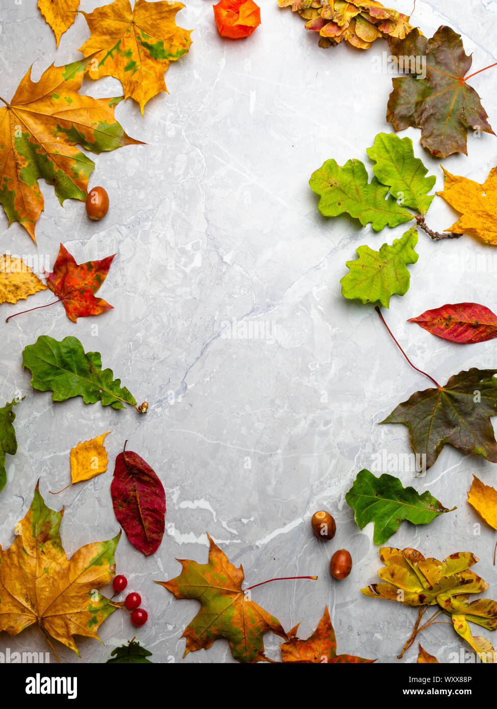 autumn leaf on marble background Stock Photo