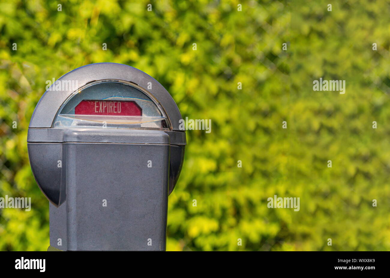 An Expired Parking Meter on a Green Background Stock Photo