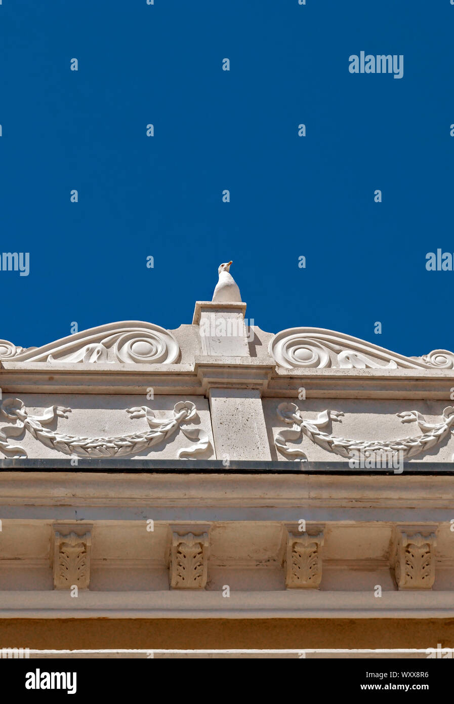 Gull on the roof of a building as a complement to the decorative element; Stock Photo