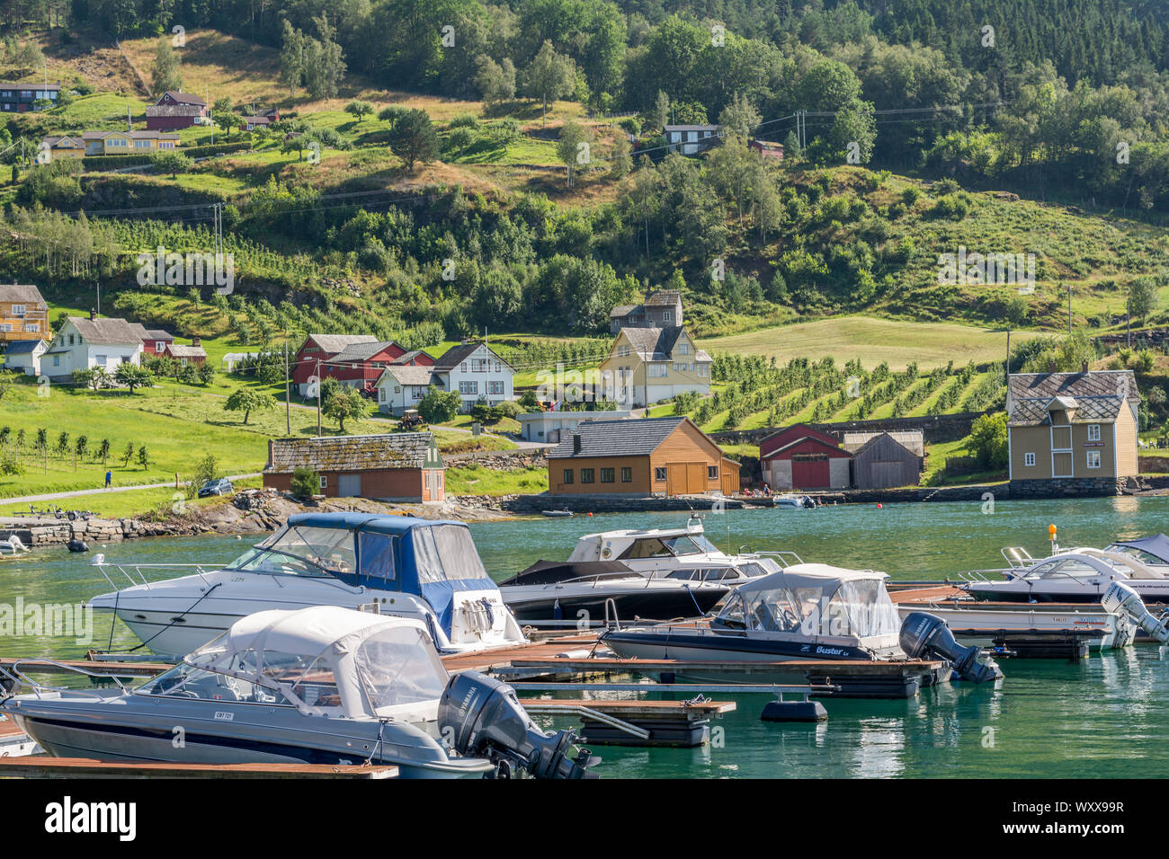 Hardanger fjord Stock Photo