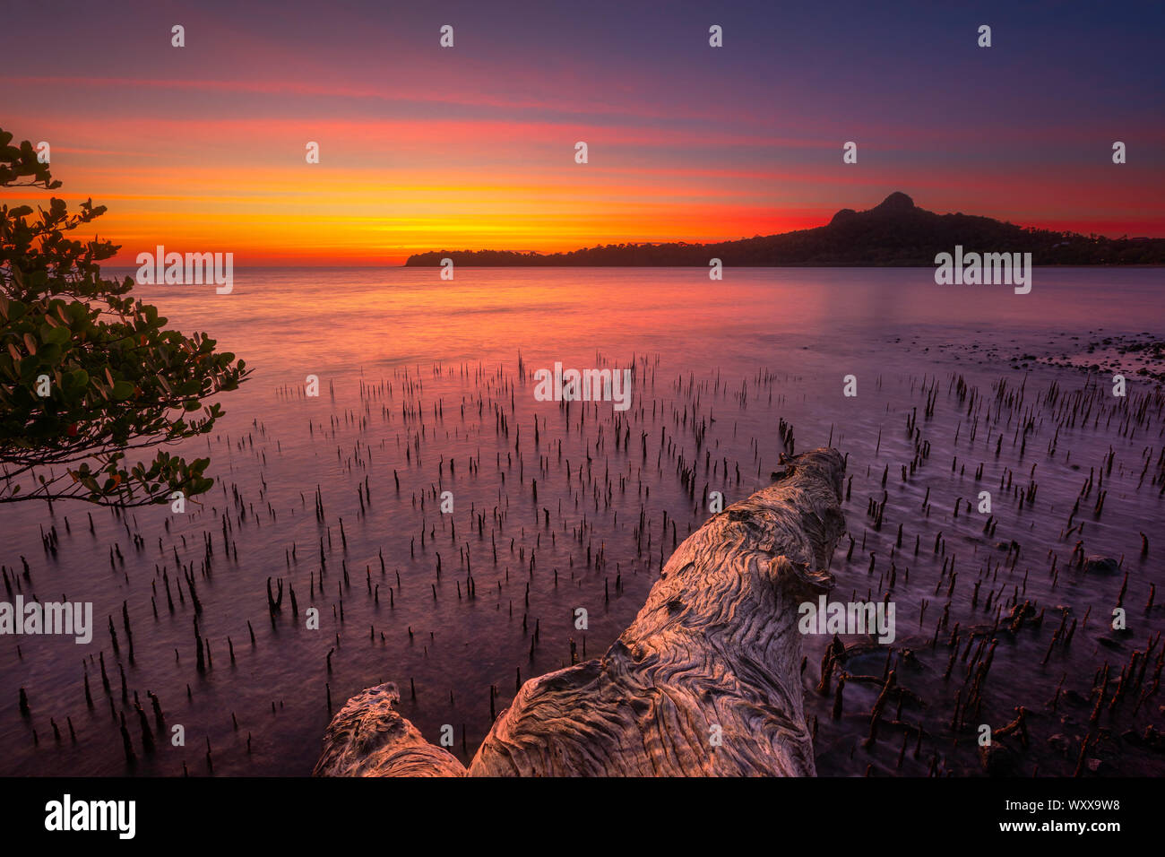 Sunset on a mangrove in the Bay of M'zouazia, Mayotte Stock Photo