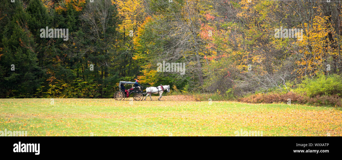 Traditional horse and carriage ride for Fall peeping tourists to see
