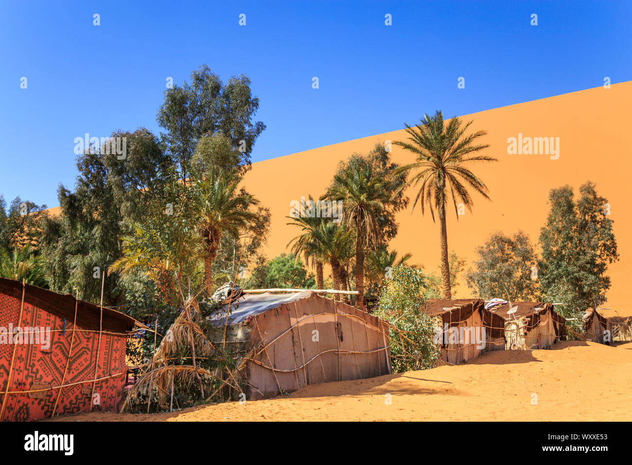 Bedouin tents and trees in the desert Stock Photo Alamy