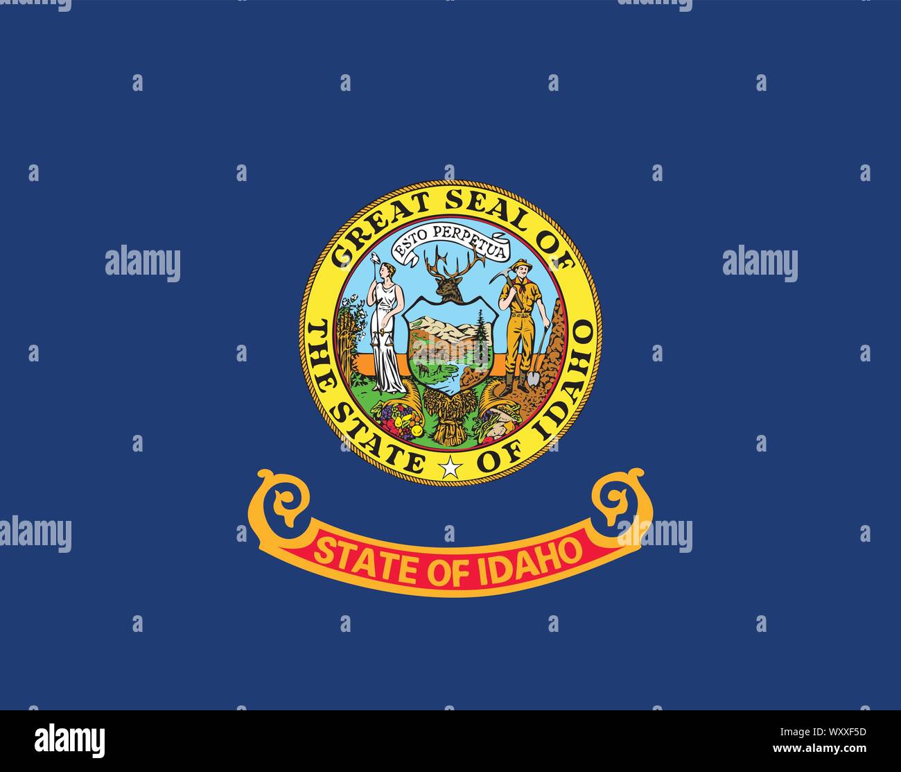Flag of the USA State of Idaho, vector Stock Vector Image & Art Alamy