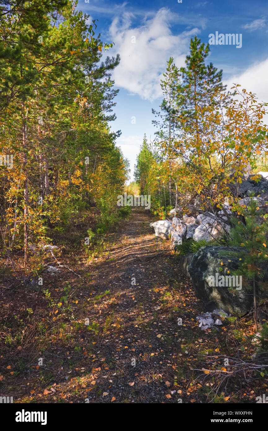 Autumn landscape multi-colored foliage of forest trees in the mountains ...