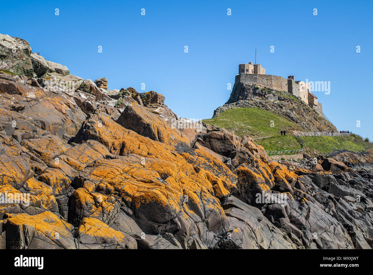 Lindisfarne castle on holy island in Northumberland, Holy Island is a tidal island off the northeast coast of England. Stock Photo