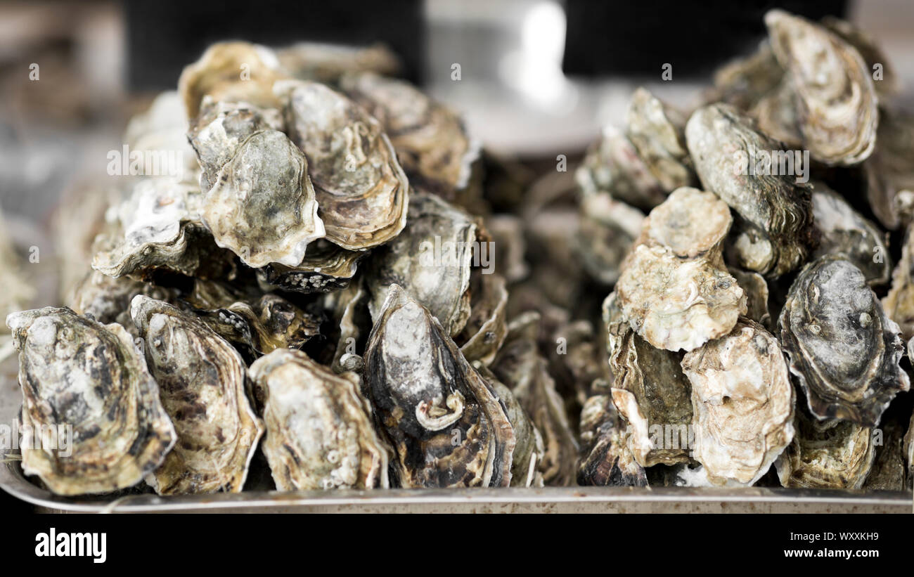 Mussels in shells freshly catching laying outdoor Stock Photo Alamy