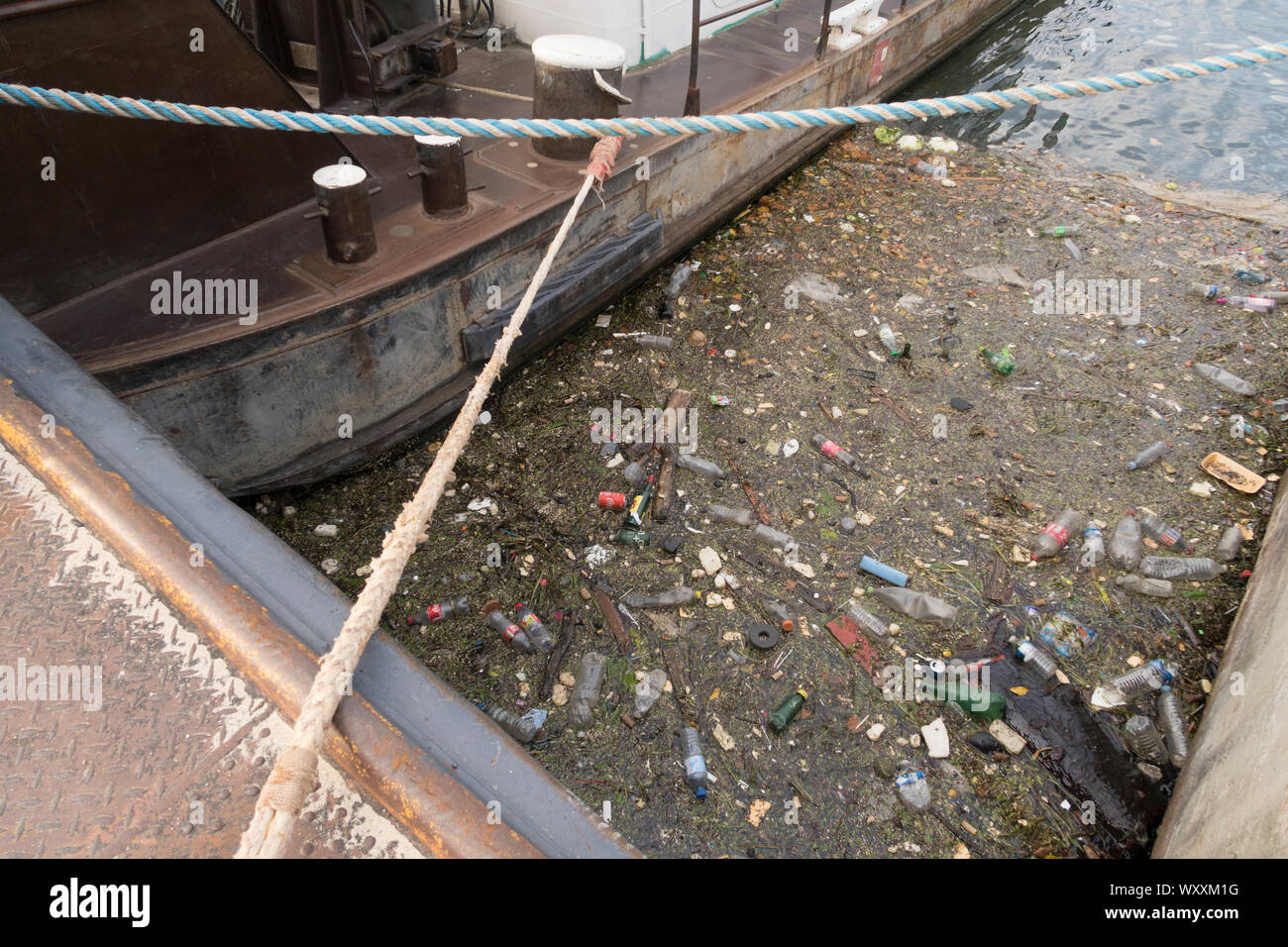 Paris, France - Aug 31, 2019: Waste and discarded rubbish collects in the water of the Seine River in Paris, France. Stock Photo