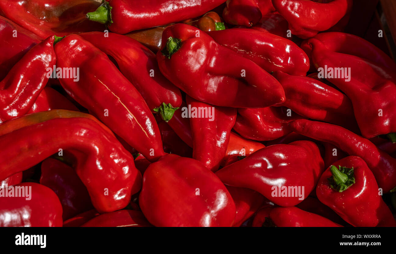 Red peppers on a market stall Stock Photo - Alamy