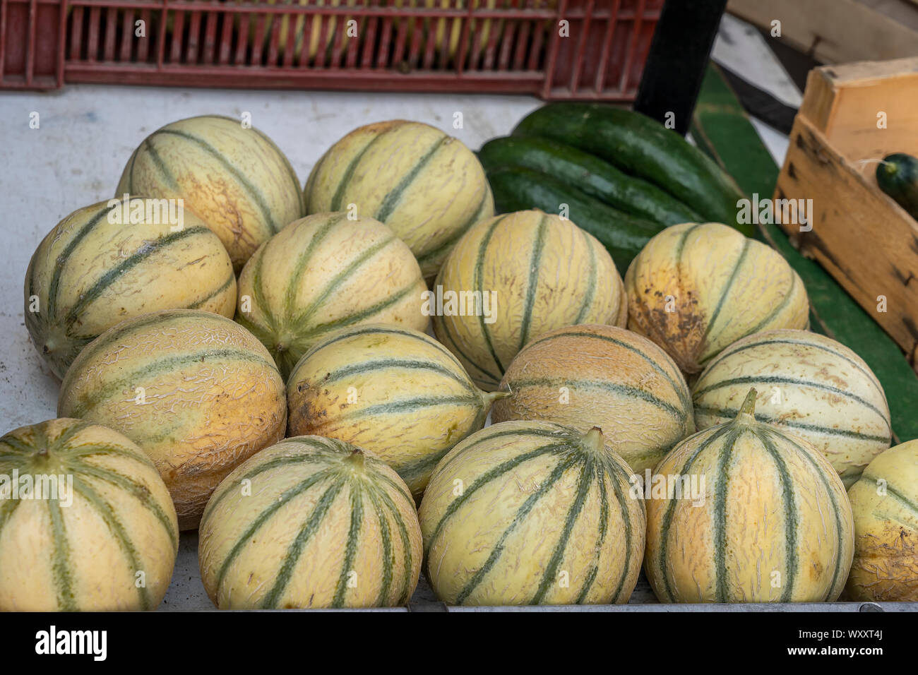 Desert melons hires stock photography and images Alamy