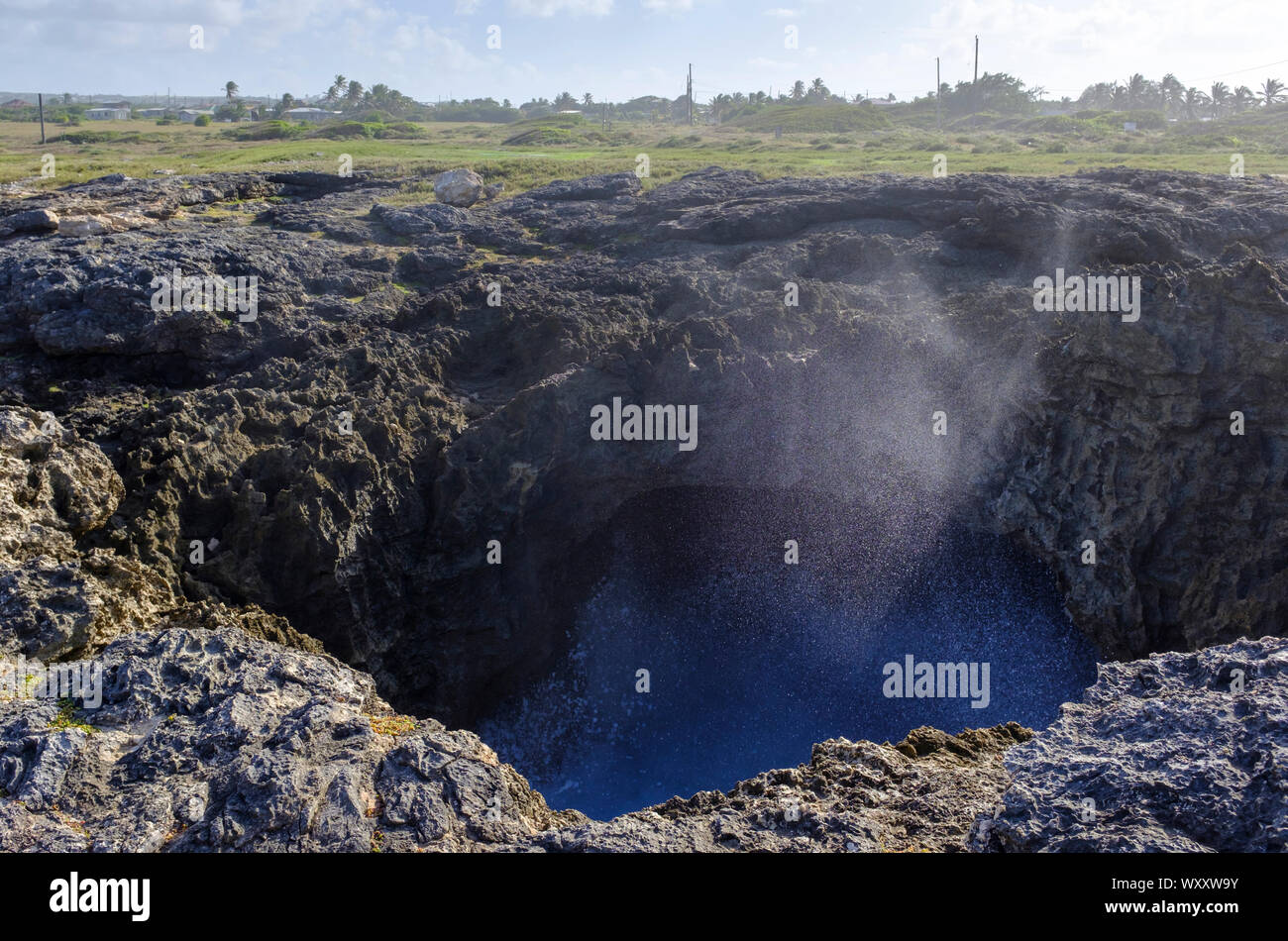 Water spray erupts from a blow hole carved by the waves in the limestone cliffs of North Point, Barbados Stock Photo