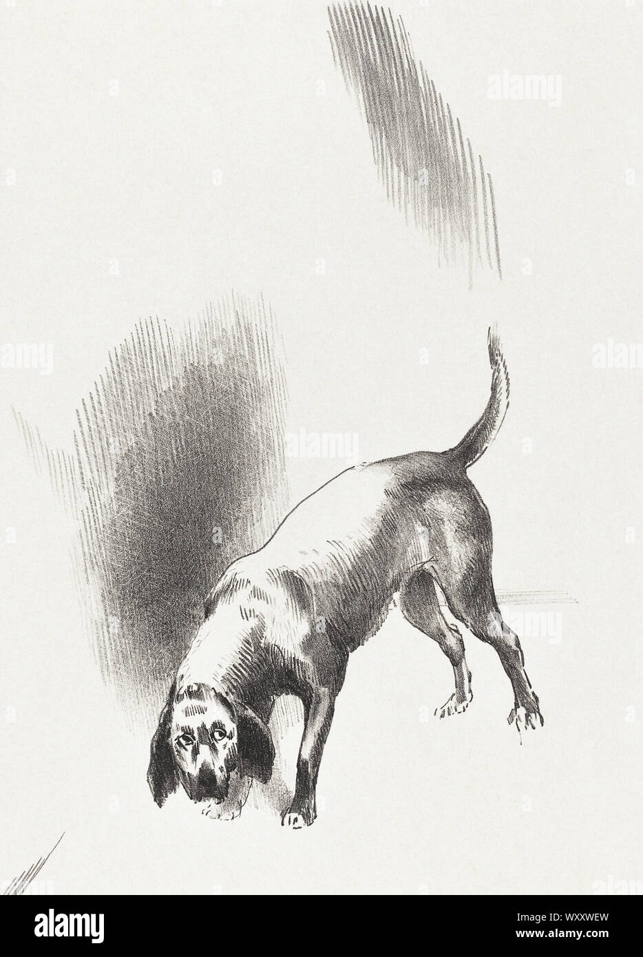 Odilon Redon - The Dog (1896) Stock Photo