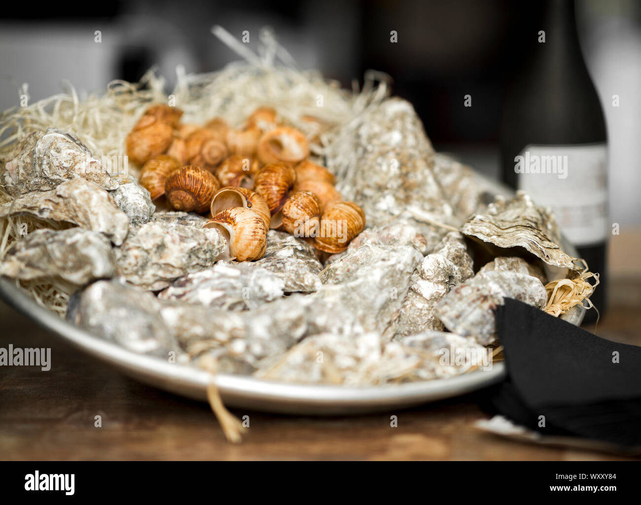 Fresh mussels in shells in big plate and white wine on table Stock Photo