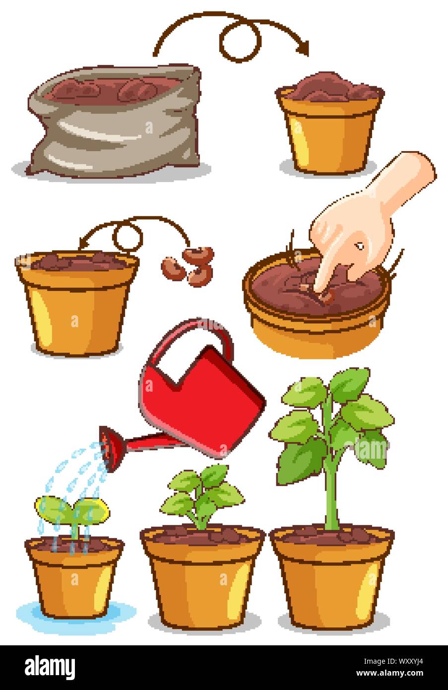 Set of planting process on white background illustration Stock Vector