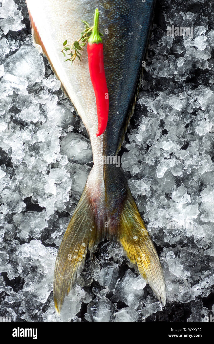Tuna tail hires stock photography and images Alamy