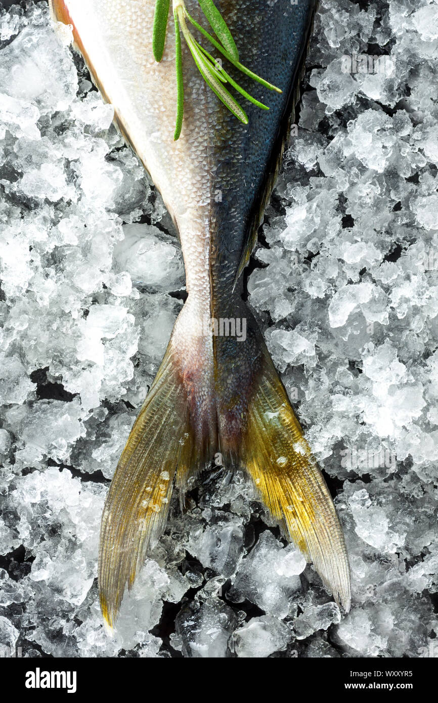 Tuna tail hires stock photography and images Alamy