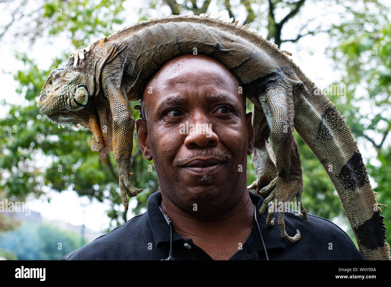 Ein Mann hat sich einen Leguan auf seinen Kopf gelegt und posiert damit vor der Kamera Stock Photo