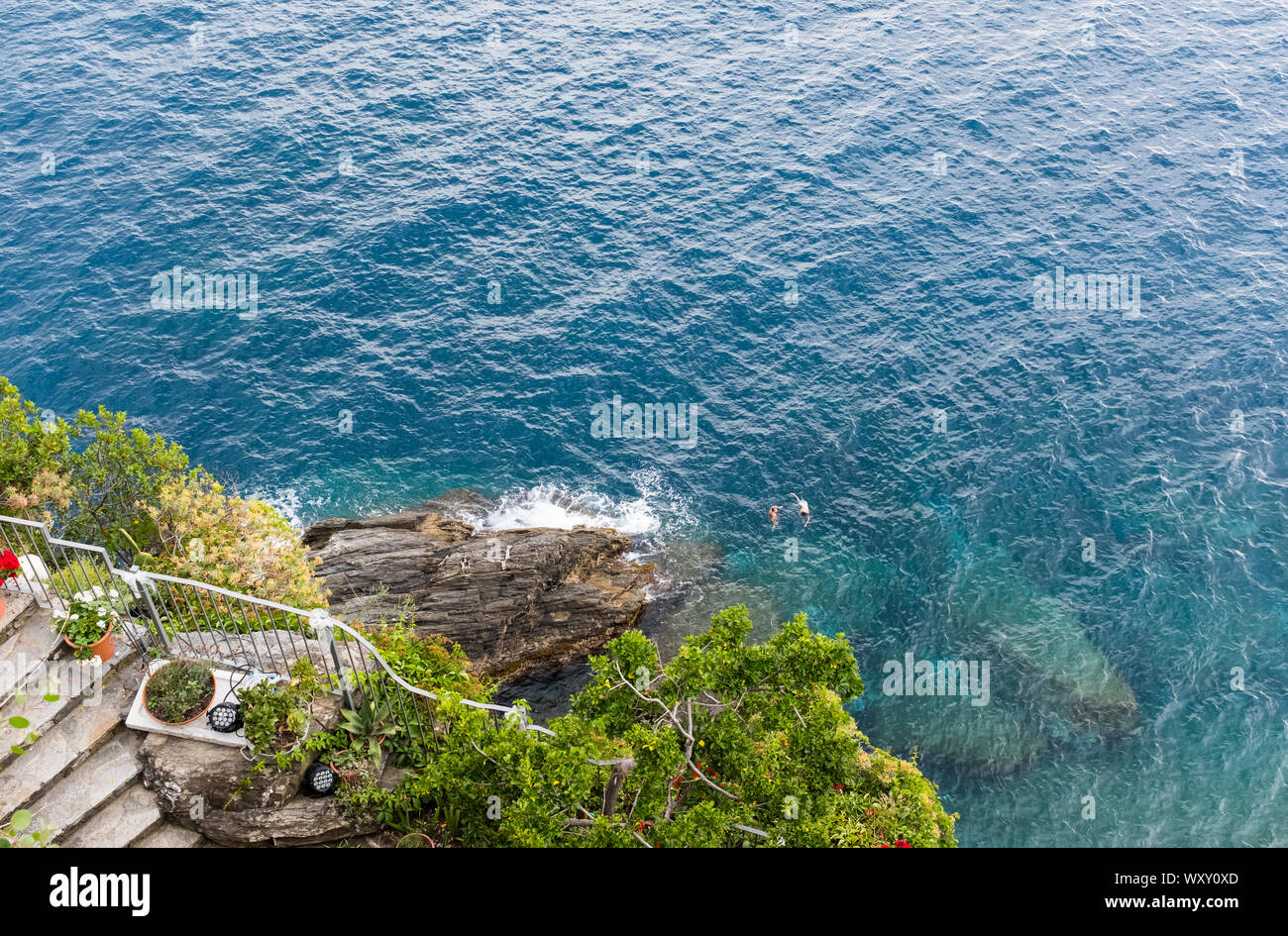 View from above of a pair of swimmers Stock Photo