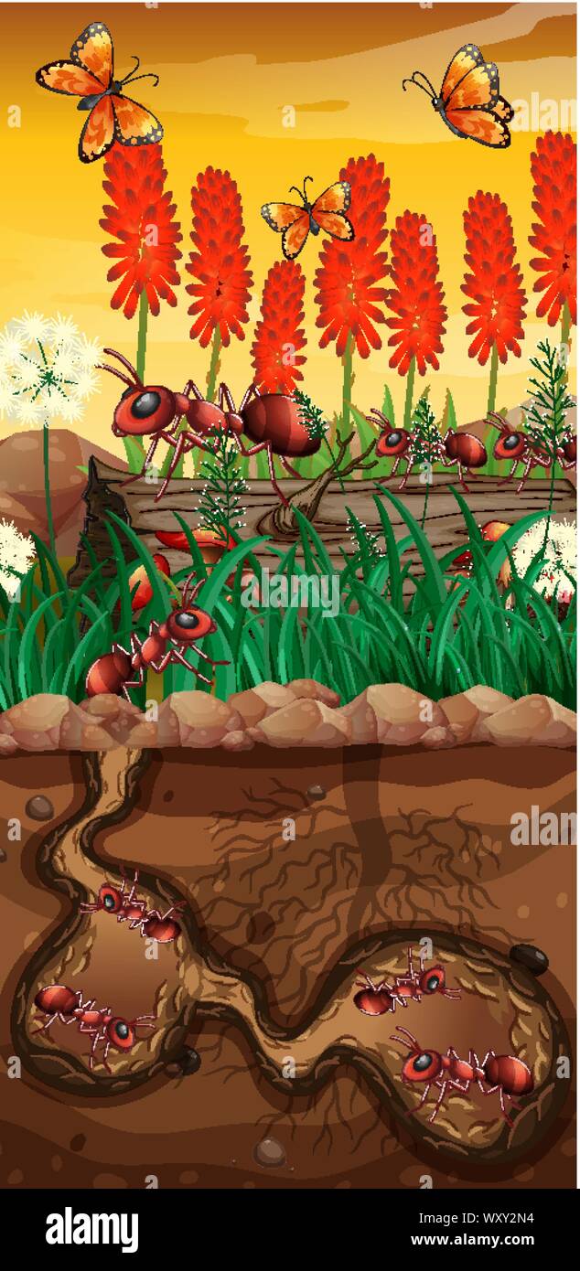 Nature scene with butterflies and ants in garden illustration Stock ...