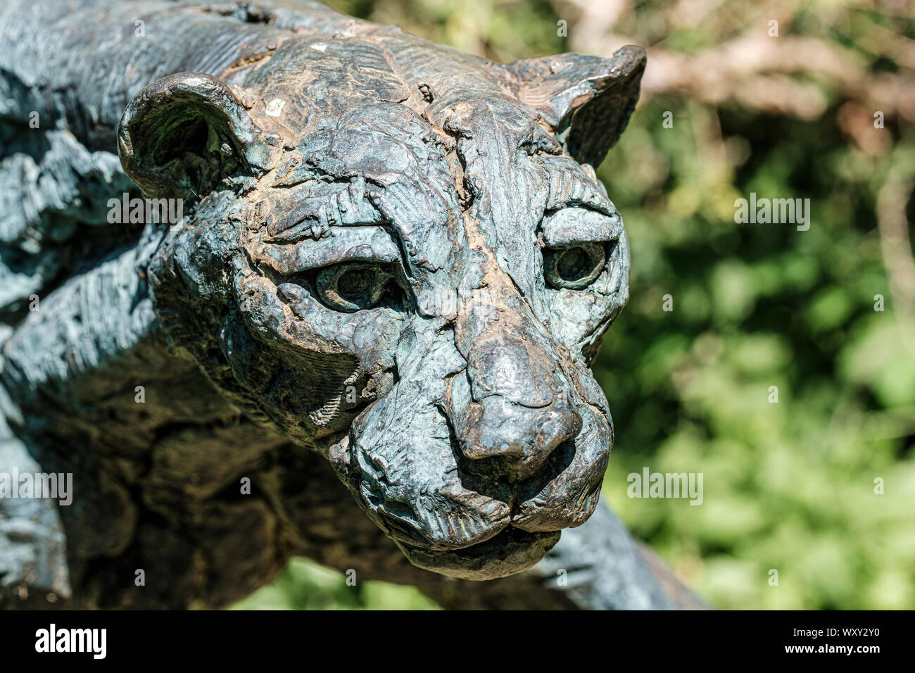 Cheetah sculpture hi-res stock photography and images - Alamy