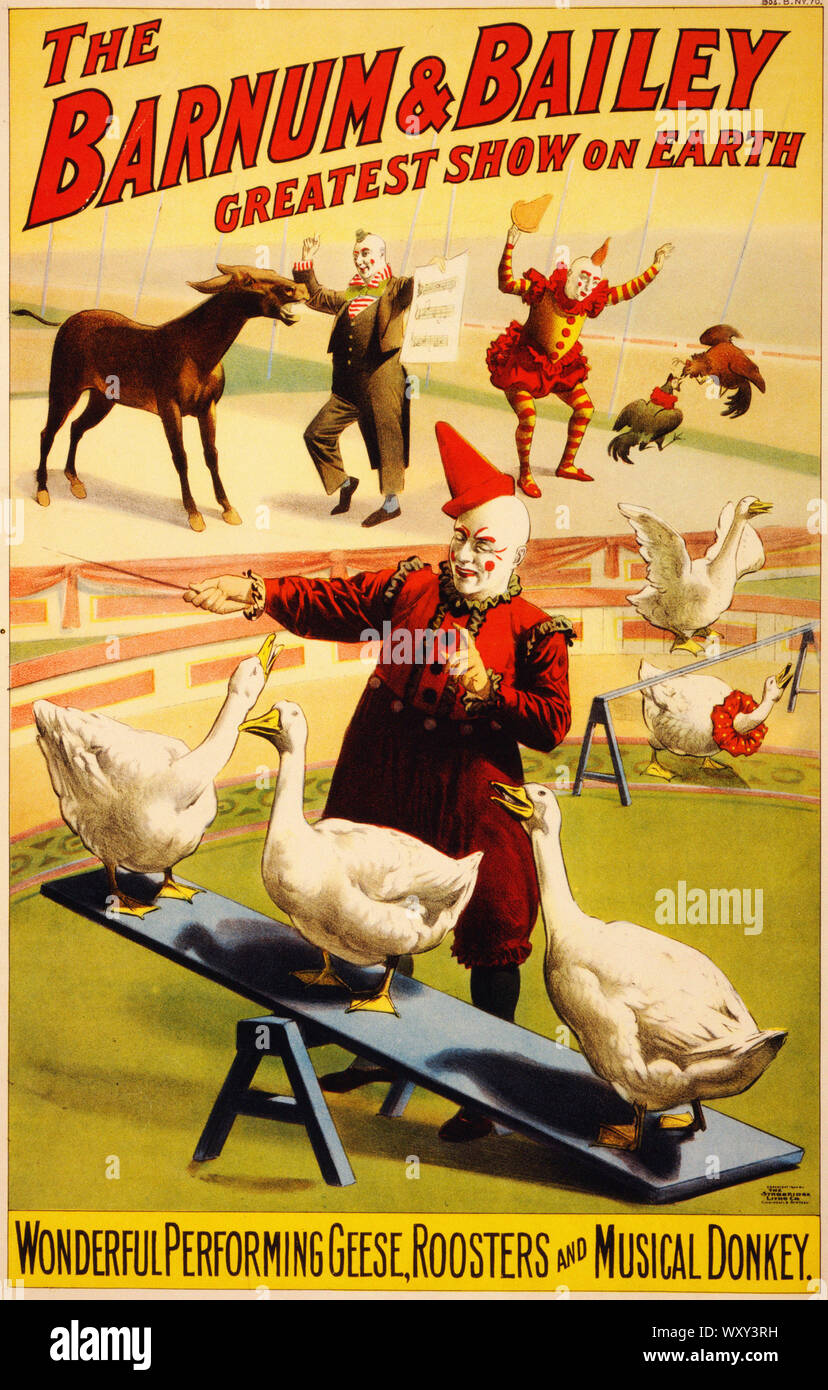 Geese Roosters and Musical Donkey Poster for Barnum  Bailey Ca 1900 - Vintage Advertising Poster, Victorian Era Stock Photo