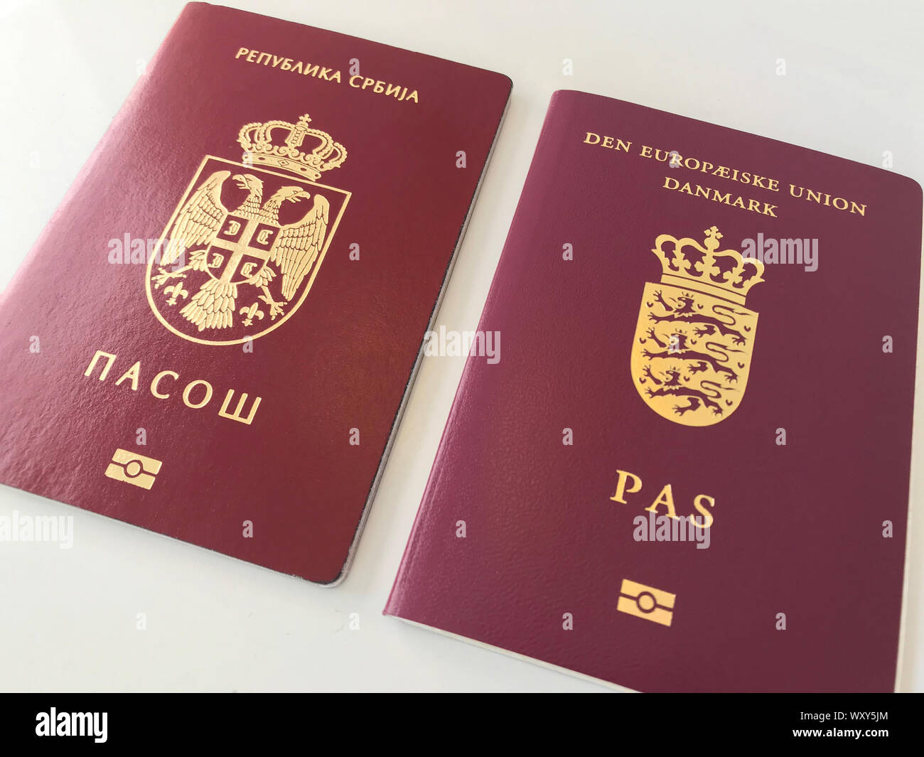 Serbian and Danish Passports on the white background Stock Photo - Alamy