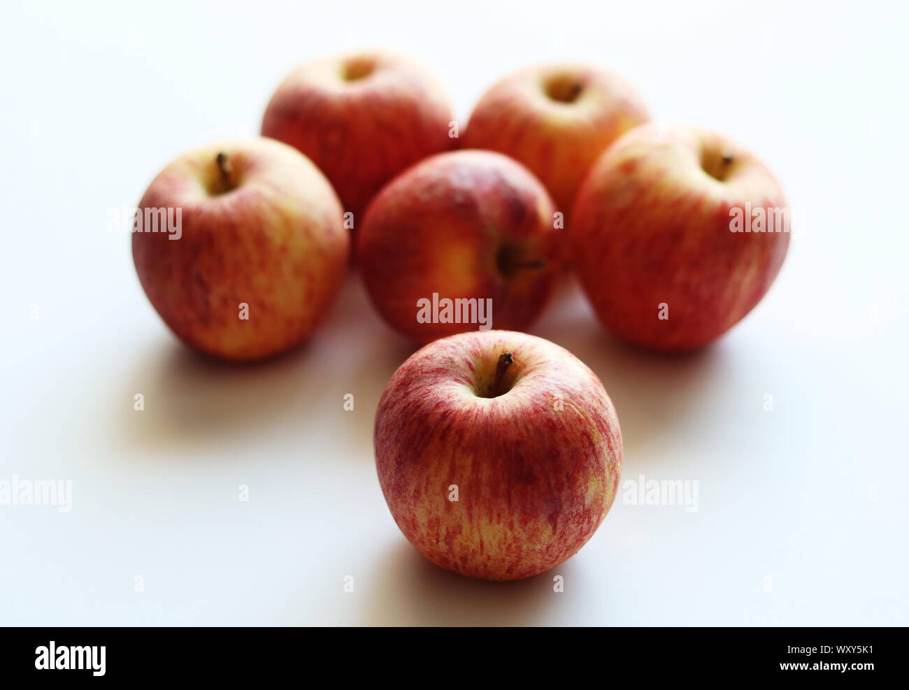 Cameo apples on plain white background Stock Photo
