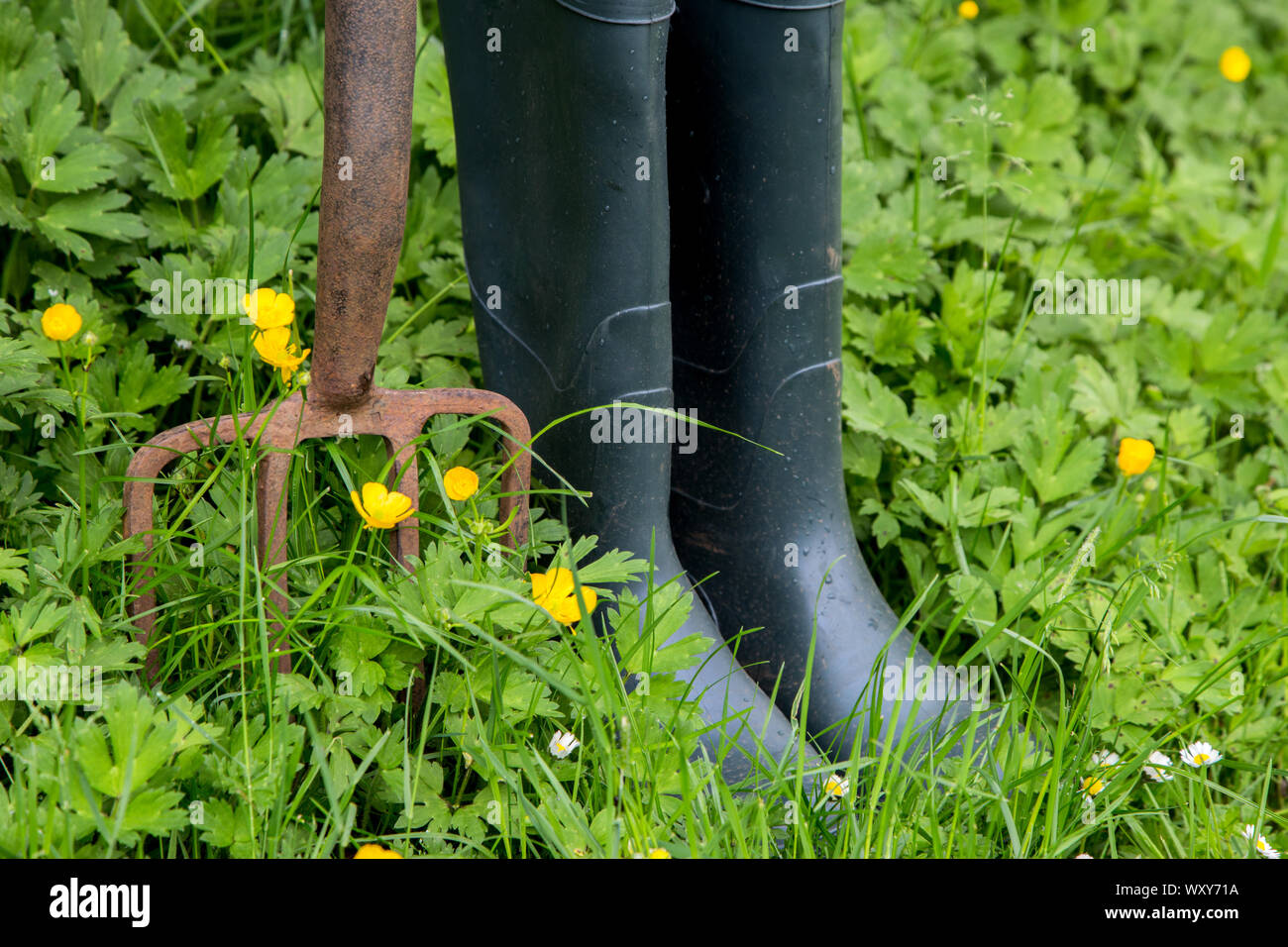 gardening boots womens uk