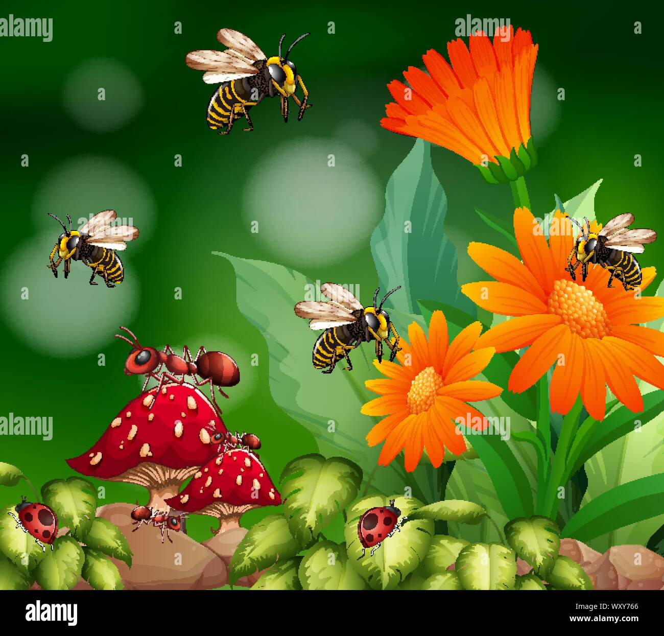 Background scene with insects in garden illustration Stock Vector Image ...