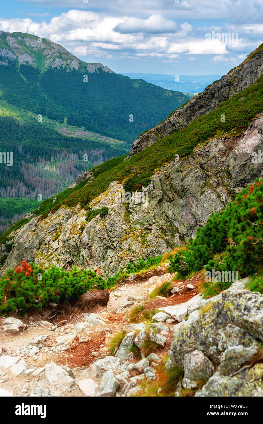 Mountain High Tatras National Park Stock Photo