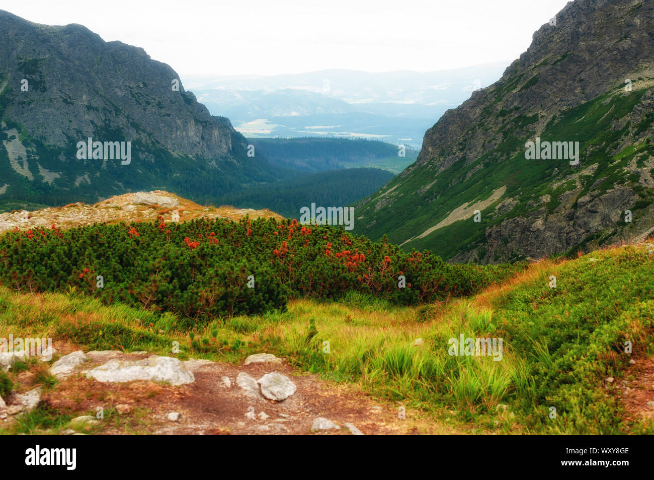 Mountain valley High Tatras National Park Stock Photo