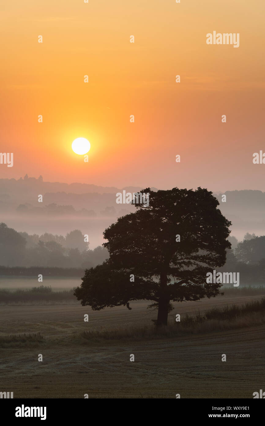 Misty august sunrise in the oxfordshire countryside. Clifton, Oxfordshire, England. Silhouette Stock Photo