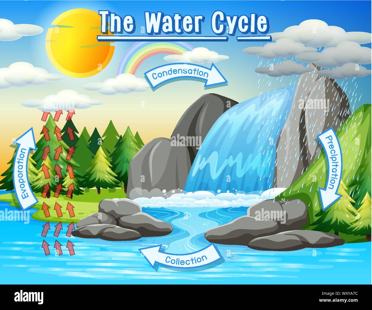 Water cycle process on Earth - Scientific illustration Stock Vector ...