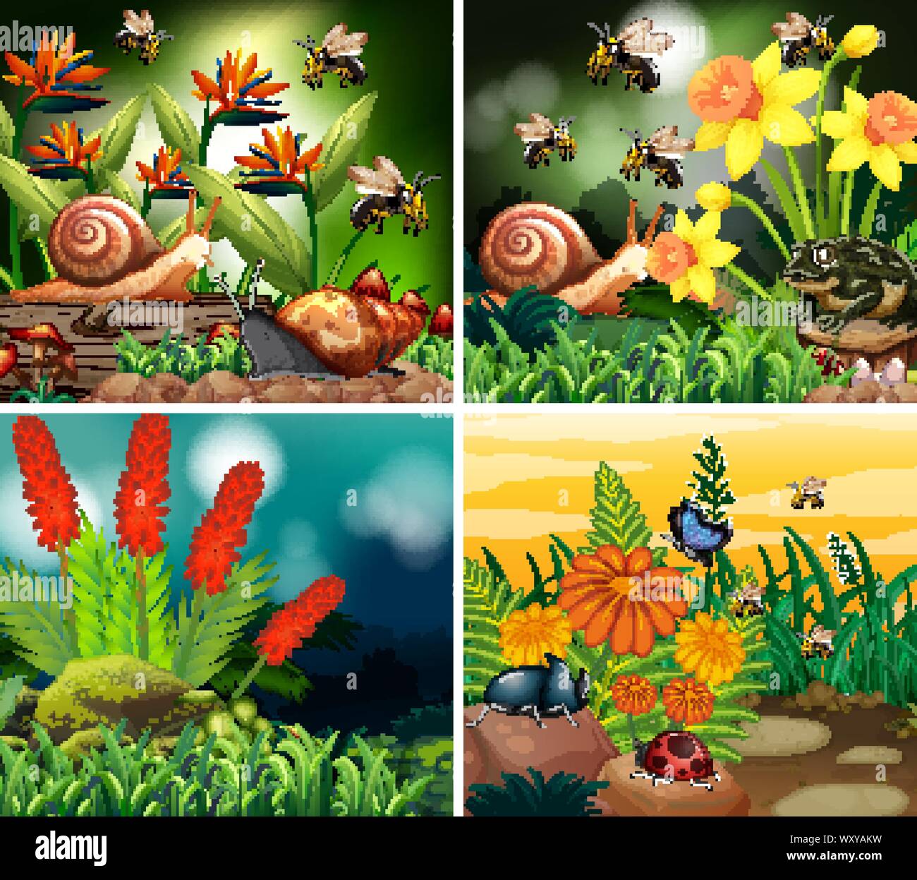 Insect Paradise Paradise insects Stock Vector Images - Alamy