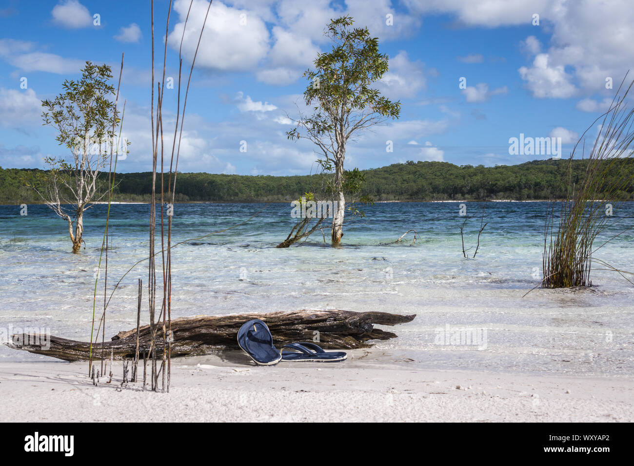 lake mckenzie fraser island - australia Stock Photo