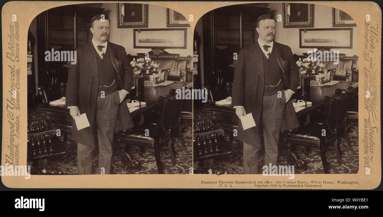 President Theodore Roosevelt in his office, the Cabinet Room, White House, Washington, USA, Stereo Card, Underwood & Underwood, 1902 Stock Photo