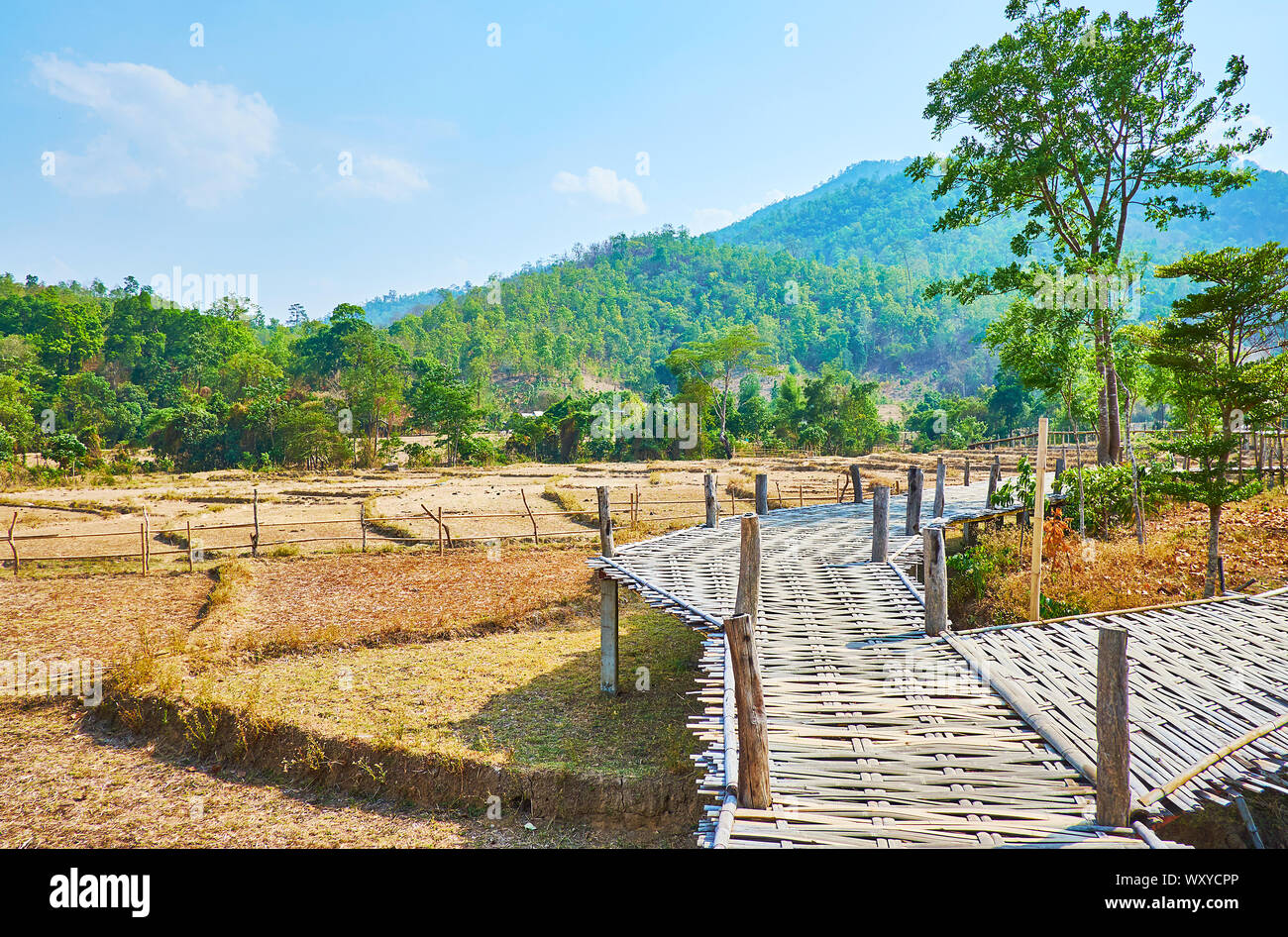 The bamboo bridges are popular constructions in farmlands of Thailand, Boon Ko Ku So bamboo bridge is one of such landmarks, located in Pai suburb Stock Photo