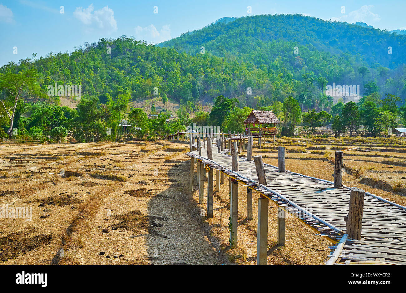 Walk the long and curved Boon Ko Ku So bamboo bridge, running through