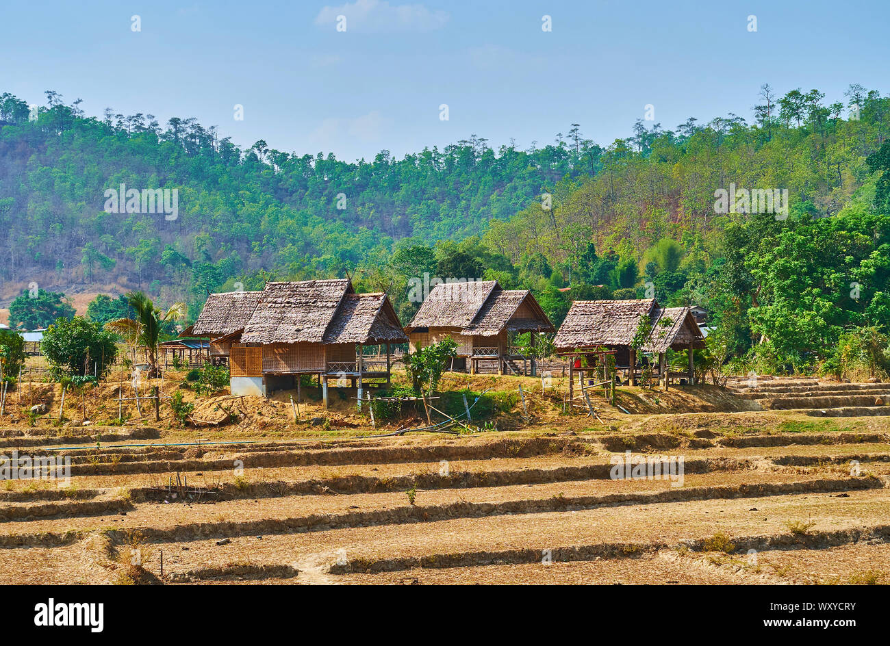The stilt houses of wicker bamboo with palm leave roofs, situated among