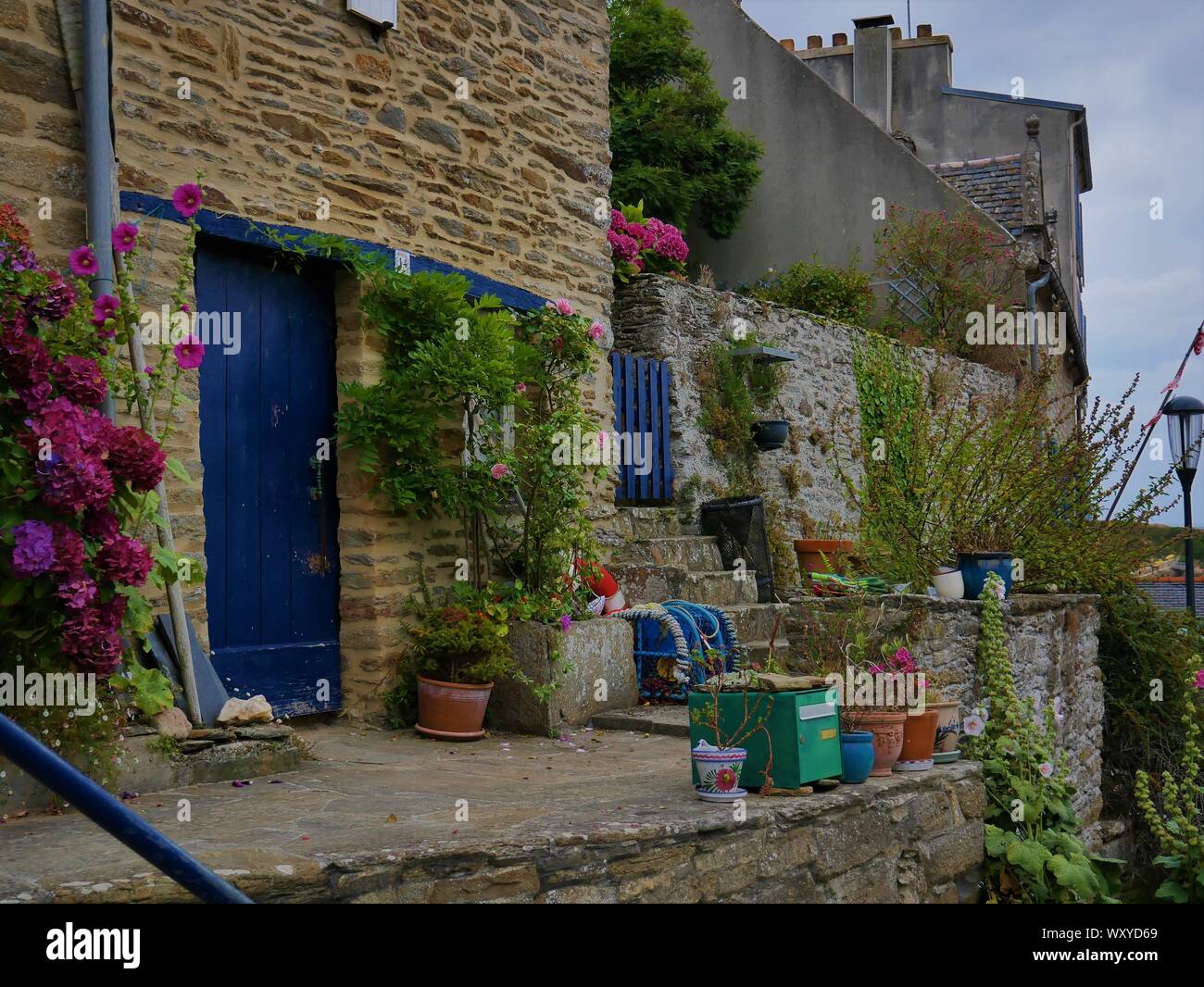 Maison bretonne fleurie d'hortensias avec des accessoires de peche au crustacés , toit en ardoise , casier de peche , le conquet , bretagne Stock Photo