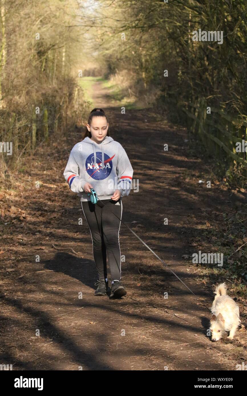 Girl walking dog Stock Photo