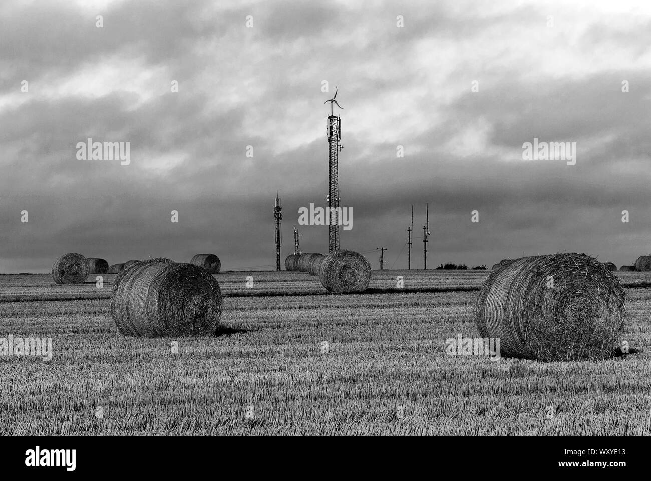 Harvesting. Hay bales in a field under a blue sky. Kinsale. County Cork, Ireland. Countryside natural landscape. Grain crop. Wheat yellow golden harve Stock Photo